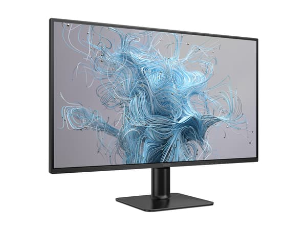Philips 27E2N2500 27 IPS 2560 x 1440 (2K) HDMI DisplayPort 120Hz