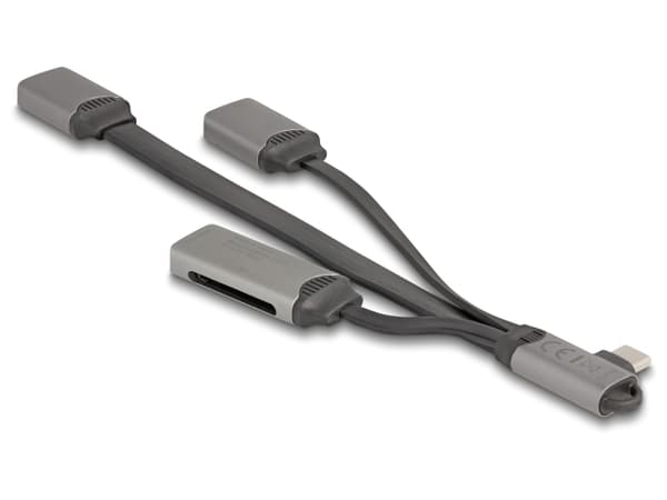 DeLock 4-porte USB Hub