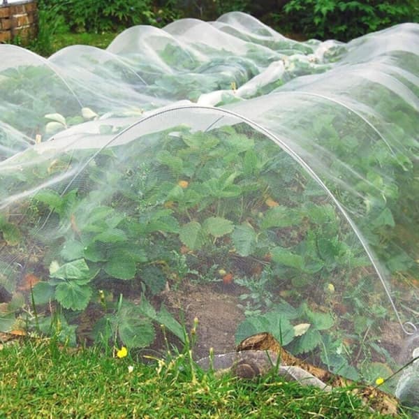 3m x 10m insektnet, insektnet til planter, havenet