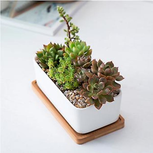 1 Set Keramiikka Soikea Kukkaruukku Bambutarjotin kanssa Mehikasvien Istutusastia Puutarha Bonsai Ruukku Kukkaruukku Valkoinen (1 kpl Kukkaruukku 1 kpl Bambutarjotin)