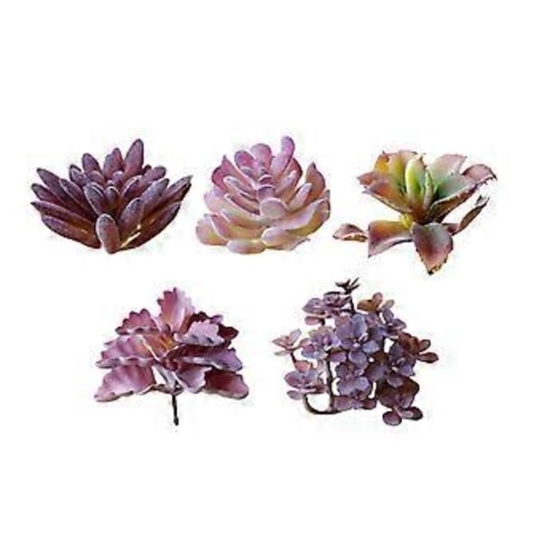 5 stk. Vakker Kreativ Simulering Sukulent Blomsterhode Kunstige Sukulenter Flokkende Blomsterhode