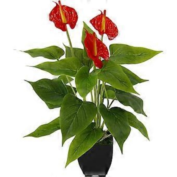 Keinotekoinen ruukutettu Anthurium-kasvi Anthurium Eksoottinen Flamingokukka Flamingokukka Korkea simulaatio laitettu anthurium 21face - iso punainen