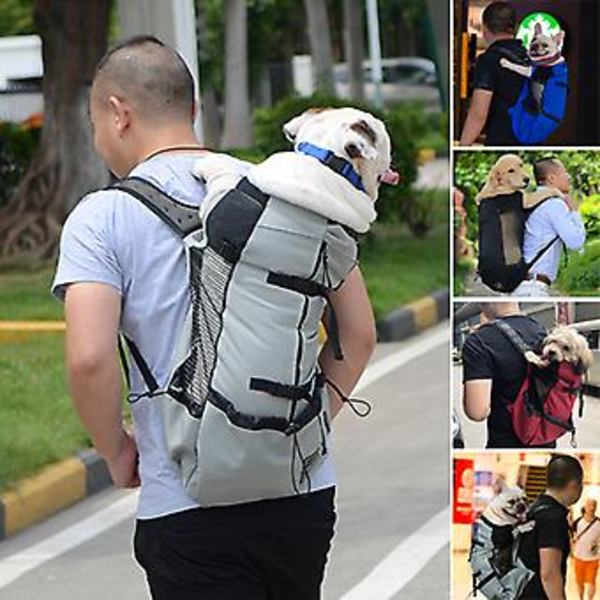 Justerbar Pet Hund Utendørs Reise Ryggsekk For Vandring Sykling Bærer Bag For Hunder Fransk Bulldog Pug Bæreposer (M Rød)