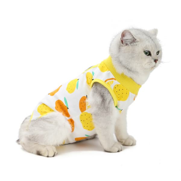 Restitutionsdragt til katte efter operation (M, citron)