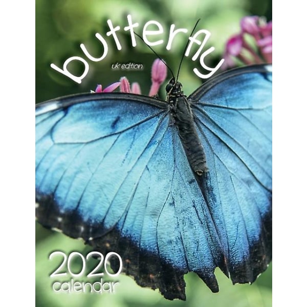 Butterfly 2020 Calendar UK Edition by Wall Publishing Uk