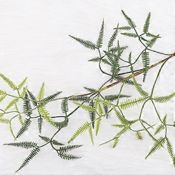 Brudeslør Kunstig Blomst 3 Gren Plast Falsk Gypsophila for Bryllup Hjem Dekor