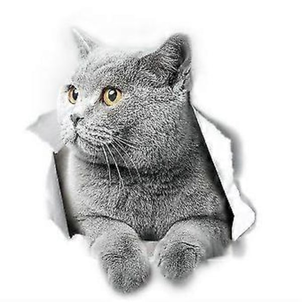 Britisk Korthår Katt Veggdekor Britisk Korthår Katt Toalettklistremerke 3D Katt Bilvindu Og Bumper Klistremerke 2stk