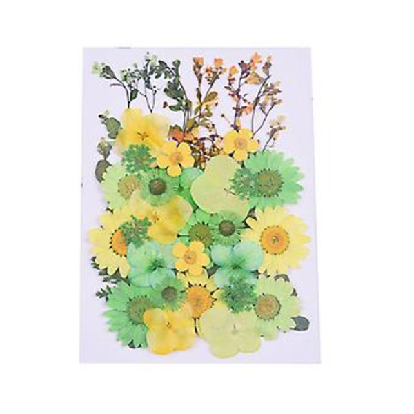 Tørrede Blomster Kit DIY Trykkede Blomster Tørrede Håndværk Ægte Blomster Bogmærke Blomster Dekoration (Grøn Gul)