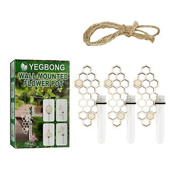 Väggmonterad Blomvas Glas Hydroponisk Planteringsbehållare Heminredning (D)