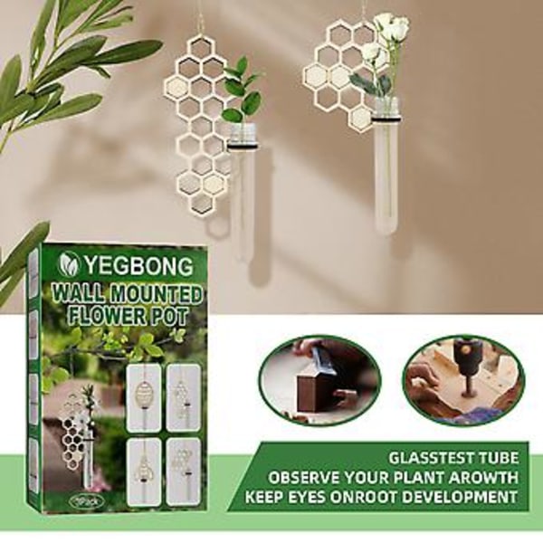 Väggmonterad Blomvas Glas Hydroponisk Planteringsbehållare Heminredning (C)