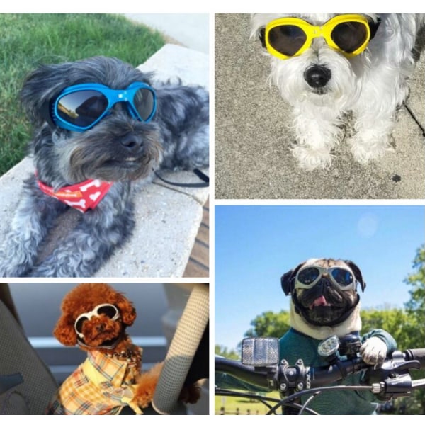 Sæt med 1, Foldelige udendørs solbriller Pet Goggles Briller til hunde