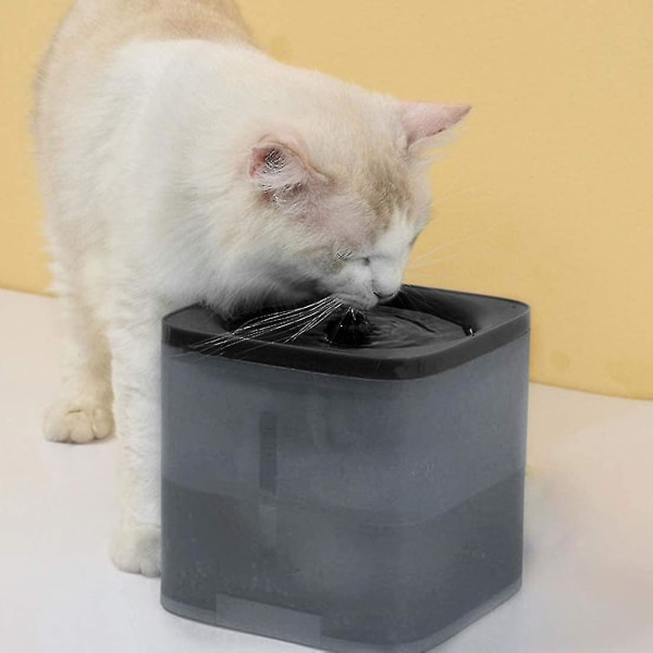 Katt, hund vattenfontän med vattennivåfönster super tyst grå gray