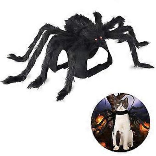 Husdjursdräkt Spindel Halloween Cosplay Hund Katt Kläder - SvartM