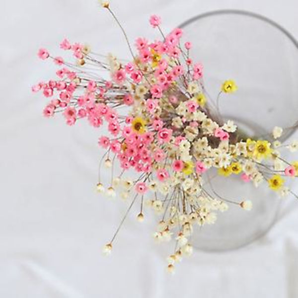 30 stk. Tørrede Blomster Brasiliansk Lille Stjerne Blomst Gypsophila Krysantemum Kunst Dekoration DIY (Guld)