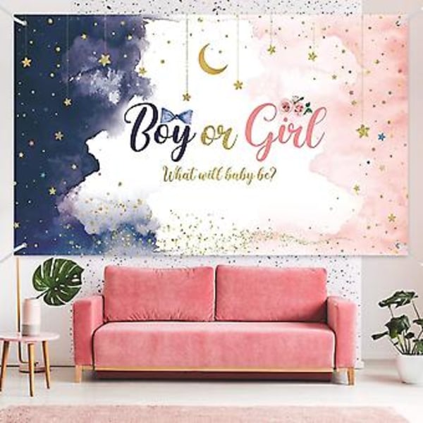 Kønsafsløring Baggrund Vandfarve Blå Rosa Banner Dreng eller Pige Hvad Bliver Babyen Kønsafsløring Dekoration Twinkle Little Star Kønsafsløring Foto