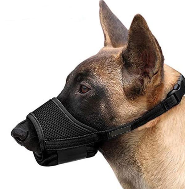 L, Nylon hundemunnbind, justerbar stropp