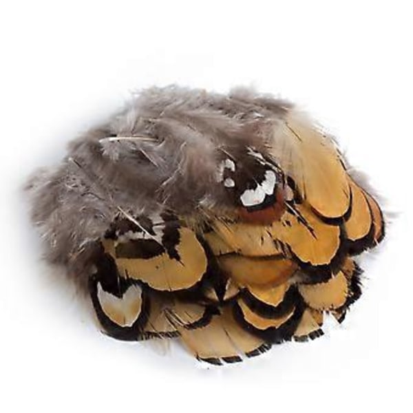 100 Stykker Naturlige Fasan Kyllingfjer 2-5 Tommer Fluffy Fjer Håndlavet Håndværk Fjer Bulk til DIY Øreringe Vinger Drømmere Catcher Håndværk Aktivitet