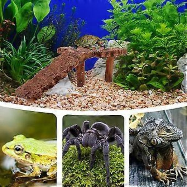 Reptil Hvileplatform Skildpadde Solplatform Klatreplattform Akvarium Klippe Dekoration