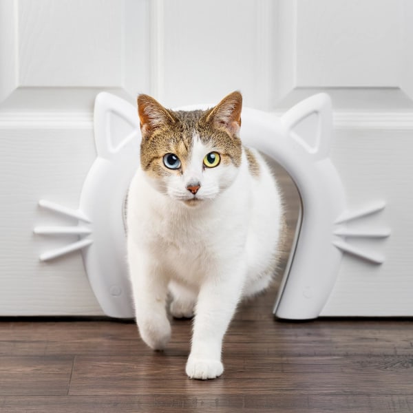 Cat Corridor Cat Doorway, Lämplig för Small, Medium och Large Ca