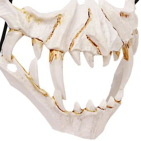 Halloween Demon Maske Karneval Varulv Skallemaske Cosplay Kostumer Anime Cosplay Maske Ansigt Hovedbeklædning Gyser Party Rekvisitter (C)