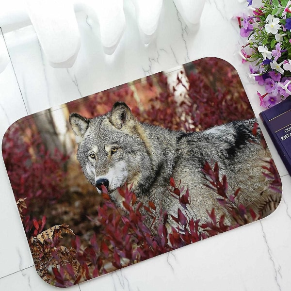 Animal Doormat, Grey Wolf In Beautiful Red Foliage Doormat Outdoors/Indoor Floor Mats Rugs 40x60 Cm