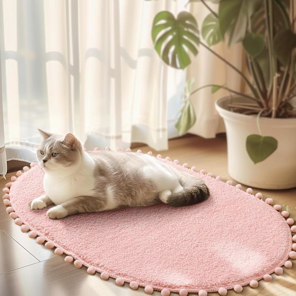 Badrumsmatta Blush Rosa Matta med Pom Oval Badrumsmattor för Sovrum Halkfri Söt Boho Absorberande Mattor Mjuk Plysch Tvättbar Ru
