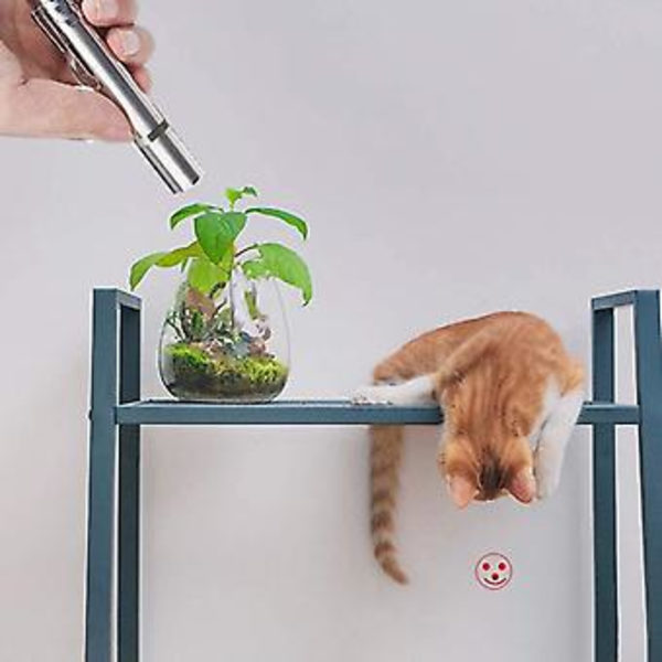 3 i 1 USB Opladbar Sjov Kattejagtlegetøj Mini Lommelygte Laser LED Pen Light Kattelys Pegere Sjov Kæledyrslegetøj Dropshipping( )