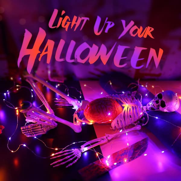 Dekorative Halloween LED-lyskæde, 12 stk. 2M 20 LED Micro