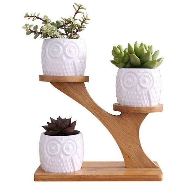 Ceramic Succulent Planter For The Garden, Mini Owl, Flower Pots