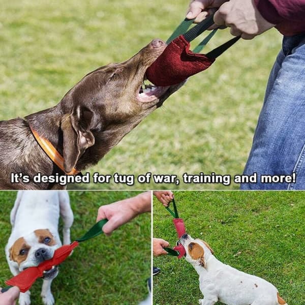 Indestructible Dog Biting Pudding, 40 cm, 2 kahvalla, Fire La