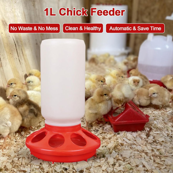 Fatformad kycklingmatare för fåglar och fjäderfä - plastdiet