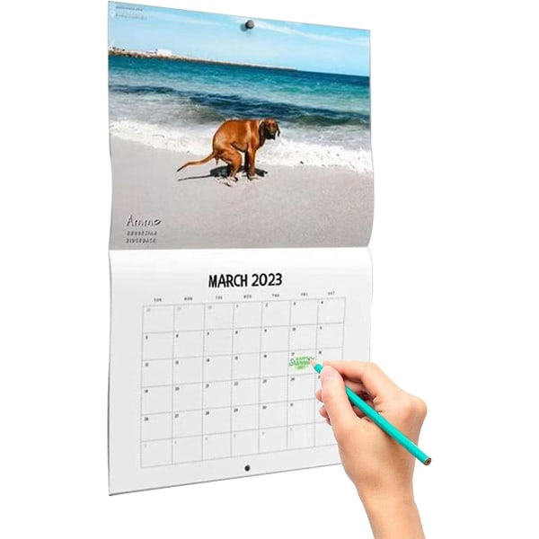 Dog Pooping Wall Calendar | Dog Pooping Wall Calendar | Funny Dog Pooping Calendar 2023 | Pooping Pooches Calendar |funny Dog Wall Calendar