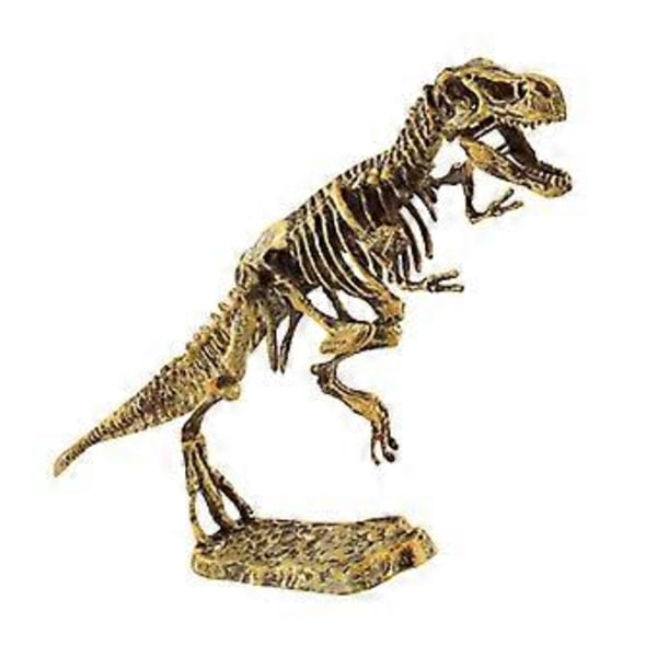 Dinosaur Skelet Knoglemodel Legetøj Børn Læring Uddannelsesmæssige Legetøj (Akantor)