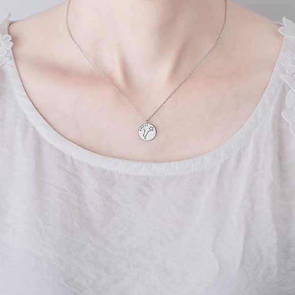 Kvinnor Flickor 12 Stjärntecken Genombrutna Minimalistiska Mode Pendans Silver Cz Stjärntecken Halsband, 6 Set