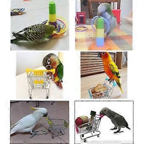 3 stk. Papegøjespil Mini Indkøbsvogn Træningsringe Skateboard Stativ Hvileplads til Budgie Parakitter Kakadue Conure Kærlighedsfugl