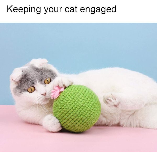 Katt Kibble Kløball Kaktus Katt Kløbrett Trening Kattunge