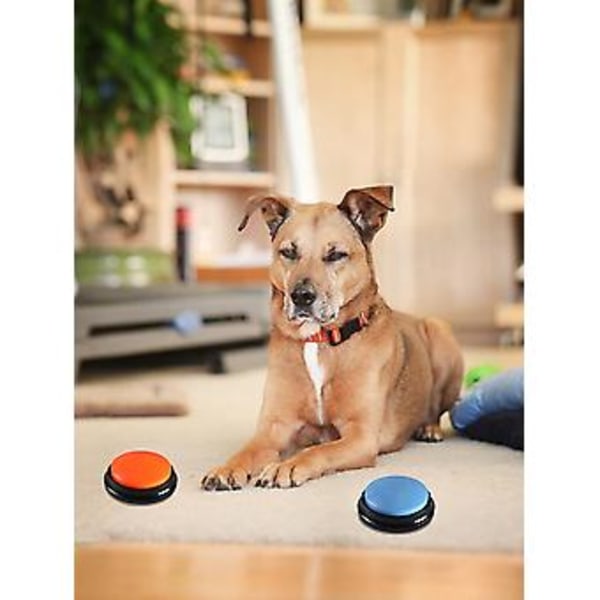 Pet Starter Optagelig Talende Knapper Hundetræning Kommunikationslegetøj ( )