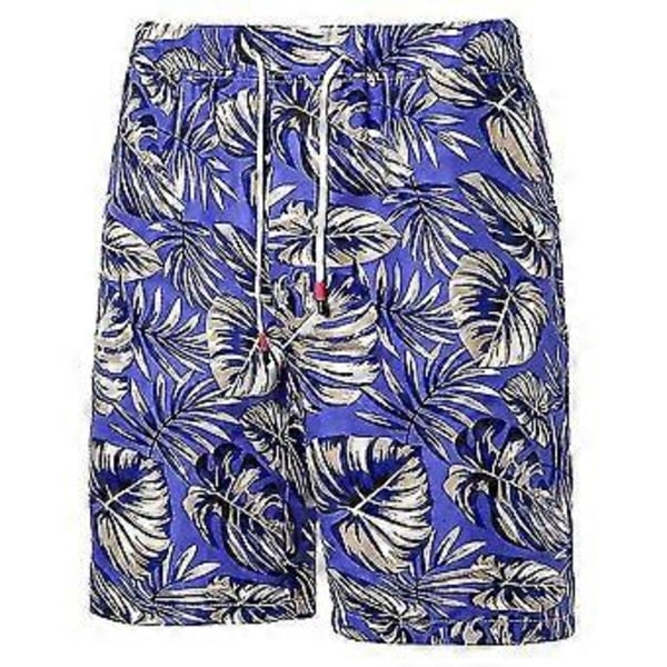 Men Hawaii Floral Print Shorts Summer Beach Holiday Short Pants V (3XL Blue)