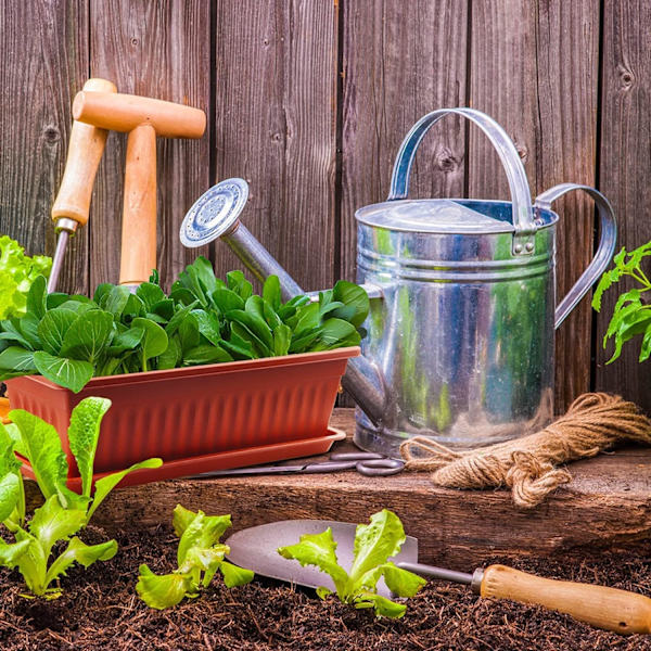 Oransje - Sett med 1 17\" Terrakottafargede Plastpotter for Vind