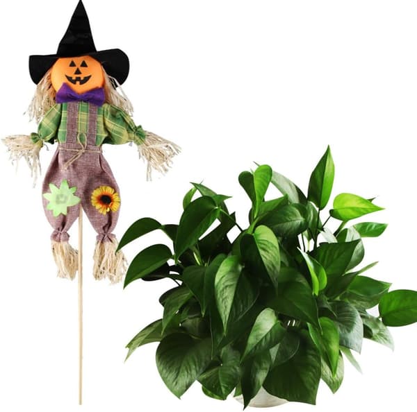 Høst høstfugleskremseldekorasjon, sett med 2 gresskar Halloween-dekor