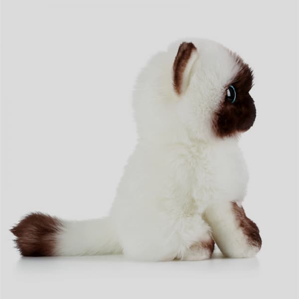 20cm söpö Ragdoll-kissa pehmolelu
