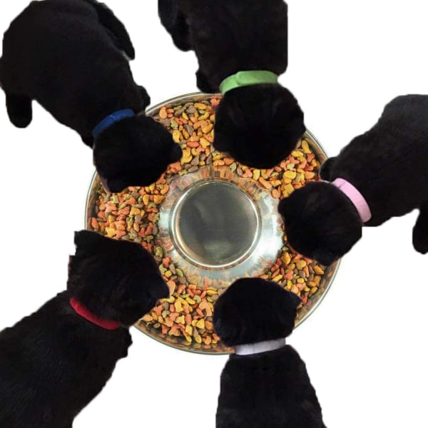Ruostumattomasta teräksestä valmistettu koiran hidas syöttökulho, CAN käyttää useisiin Pu