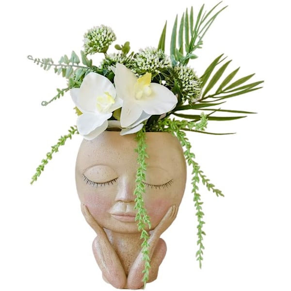 1 stk. Ansigts Blomsterpotte, Sukkulenter Plantepotte Harpiks Kreativ Blomst