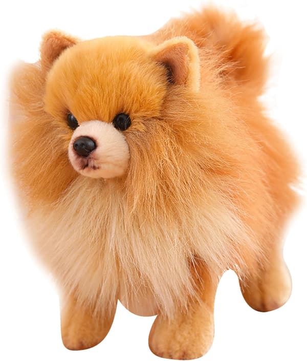 Pomeranian-pehmolelu, söpö simuloitu Pomeranian