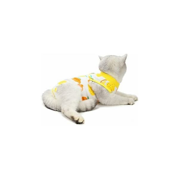 Restitutionsdragt til katte efter operation (M, citron)