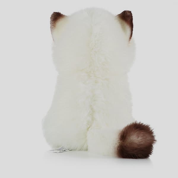 20cm söpö Ragdoll-kissa pehmolelu