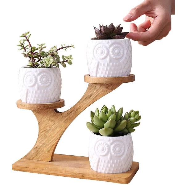 Ceramic Succulent Planter For The Garden, Mini Owl, Flower Pots