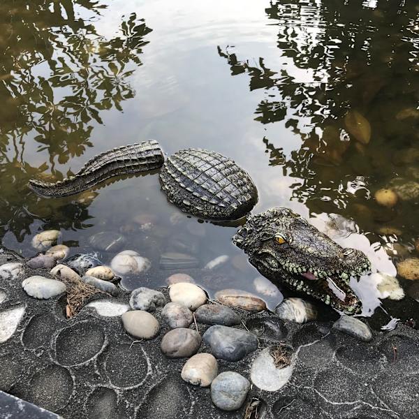 Kolmiosainen koristekrokotiili, eläinmaailman malli, Ga