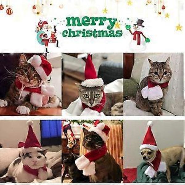 Jultomtekostym för katt med tomteluva och halsduk, julkläder för husdjur, tomteset för kattunge och valp