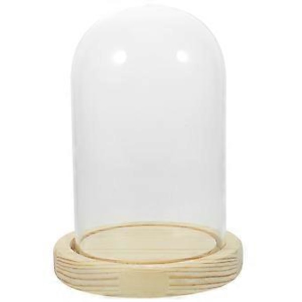 Tørket Blomst Display Base Med Glasskuppel Preservert Blomst Display Holder Transparent Utstillingsstativ